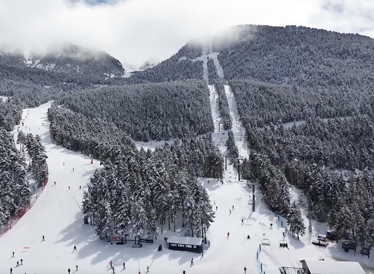 Masella